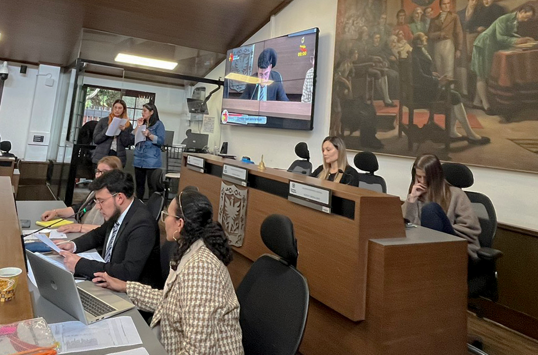 “Cada hora, cuatro mujeres son víctimas de violencia intrafamiliar en Bogotá”: Concejala María Clara Name 